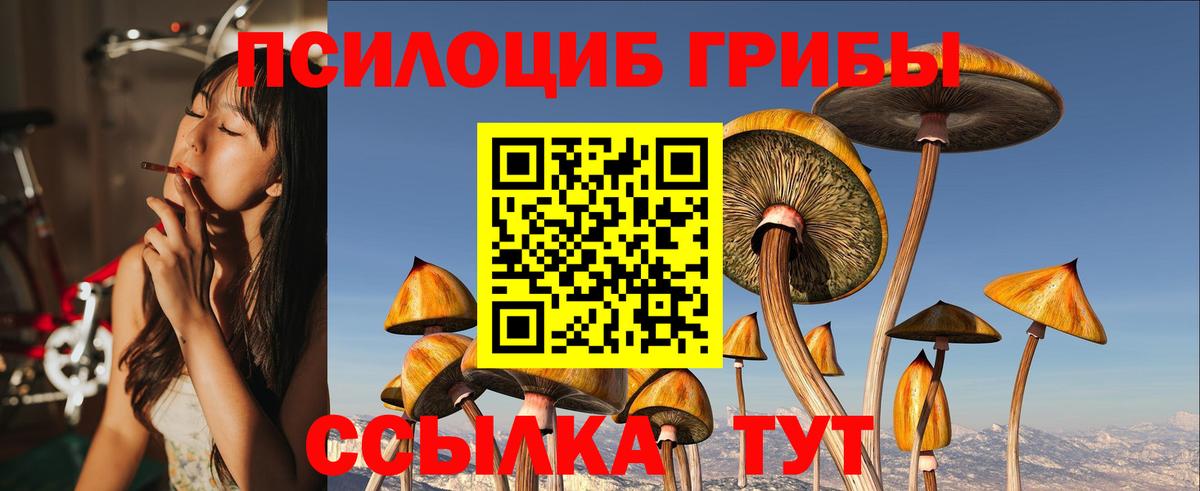 Чехов  Галлюциногенные грибы Psilocybe  магазин    Вход с VPN 